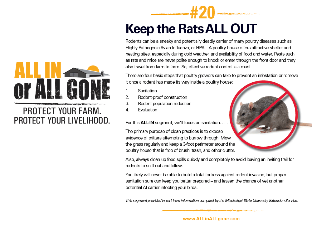 Keep the Rats ALL OUT